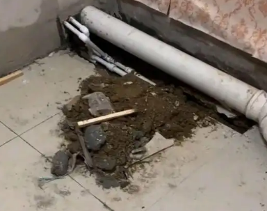 尼勒克卫生间漏水检测哪家好